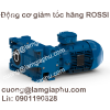 Gear motors, gearboxes, conveyor motor coaxial ... ROSSI - anh 1